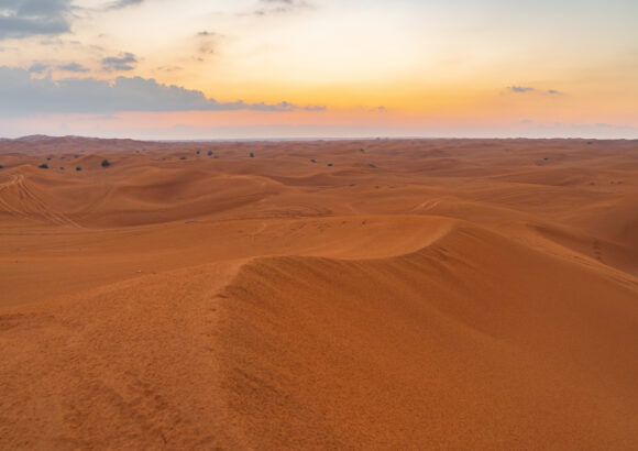 Let’s Fight Global Warming