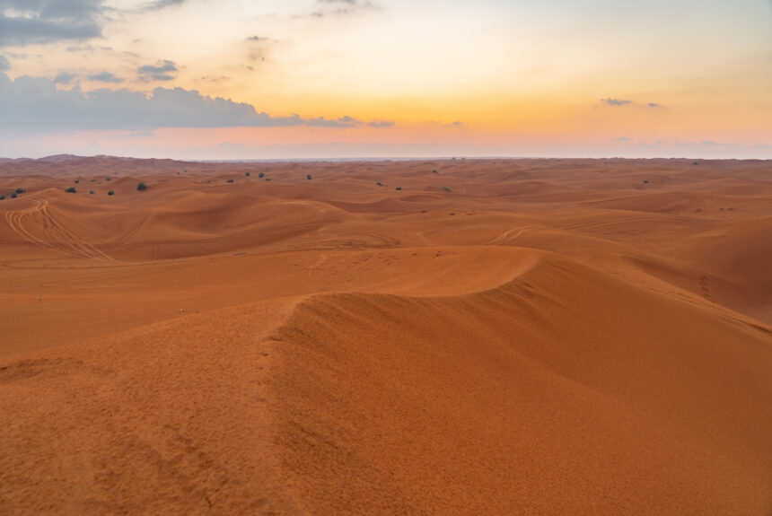 Let’s Help the Endangered Species Today