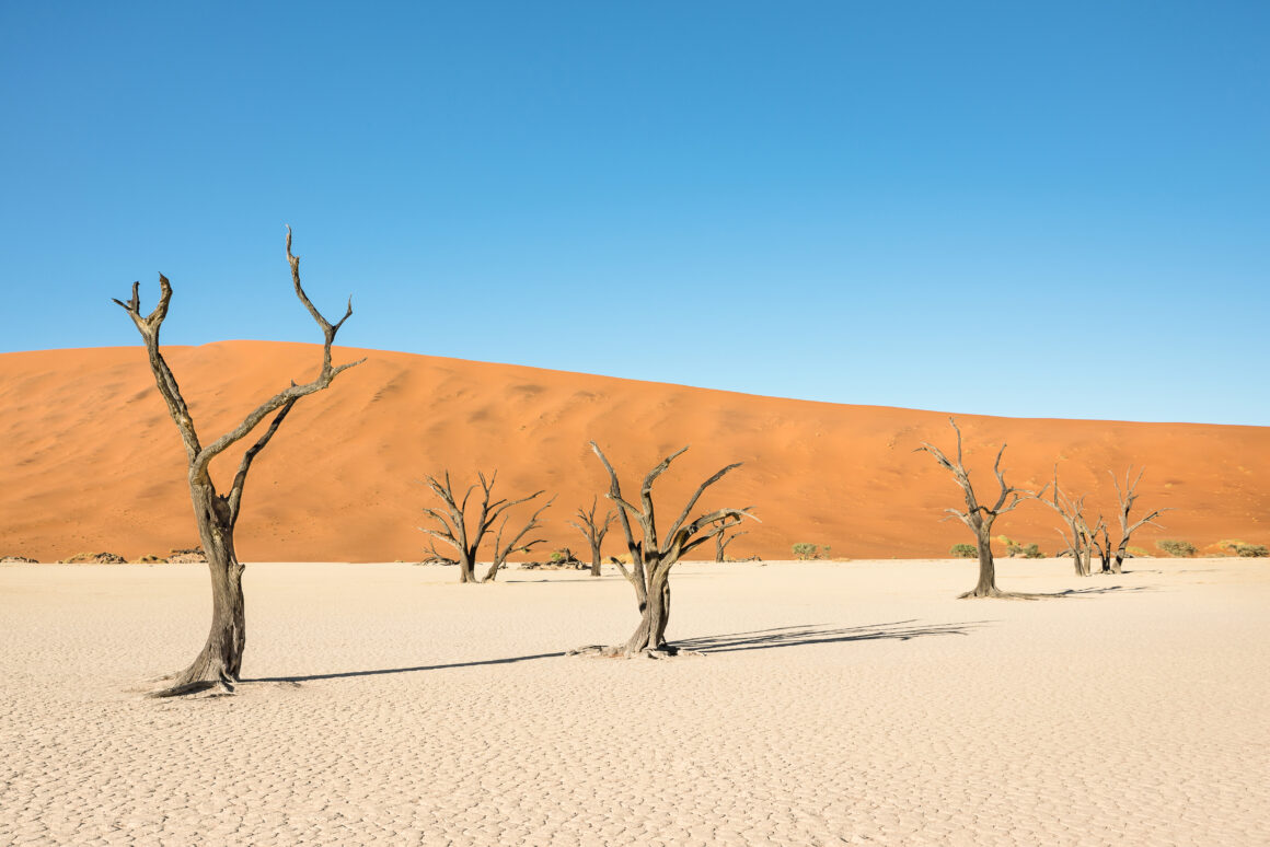 Dry trees in desert crater area at Deadvlei in Sossusvlei territ 5 Ways You Can Finance Better