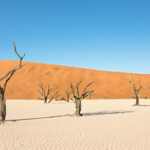 5 Ways You Can Finance Better