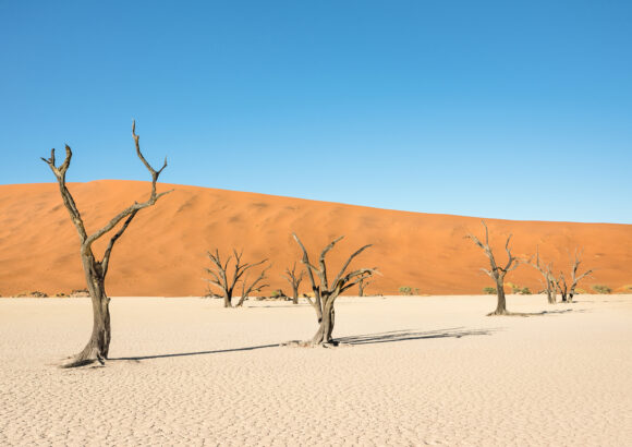 5 Ways You Can Finance Better